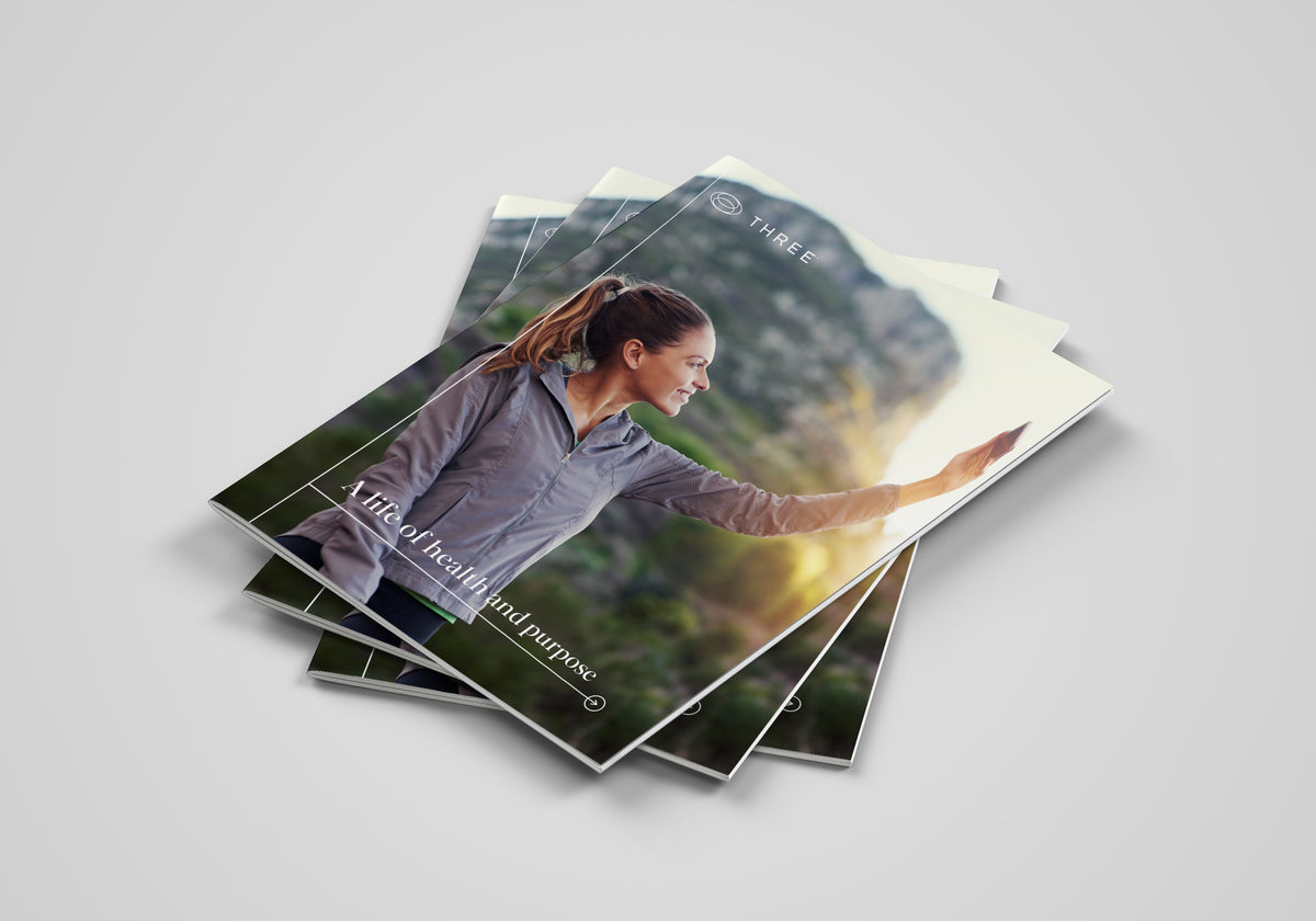 THREE Small Catalog New Updated Version (10 pack)